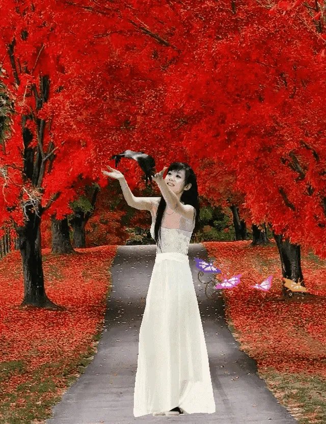 韦唯演唱的《爱的奉献》和陈红演唱的《感恩的心》哪首歌曲更具有感染力、更有正能量？为什么？