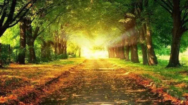 上联文原创，惊人惊语惊世界。下联？