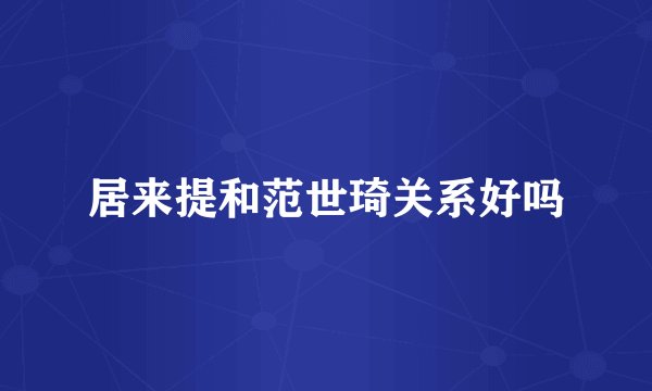 居来提和范世琦关系好吗