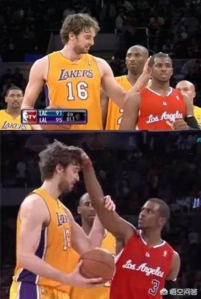 “摸头”上瘾？保罗在采访时，塔克再次偷袭摸头成功。为何这次保罗只是口头警告塔克？