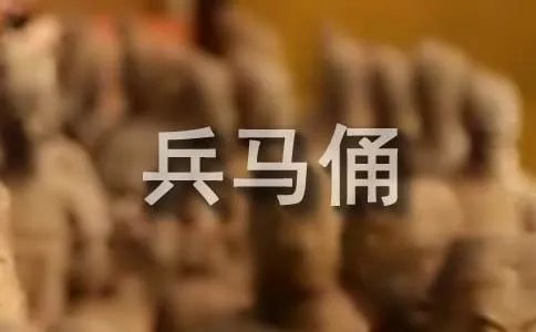 《秦兵马俑》教学反思