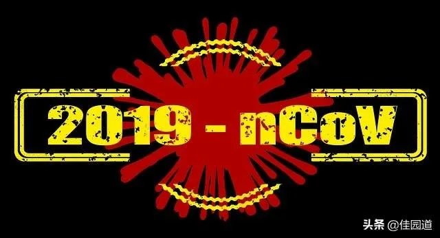 中国疫情第四代传染率甚低，为何意大利这么厉害属于几代？