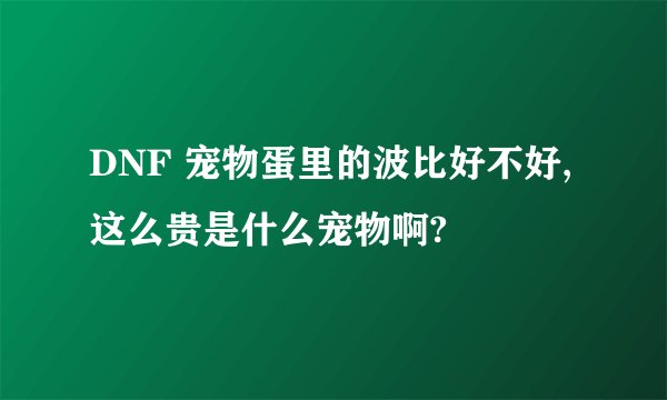 DNF 宠物蛋里的波比好不好,这么贵是什么宠物啊?