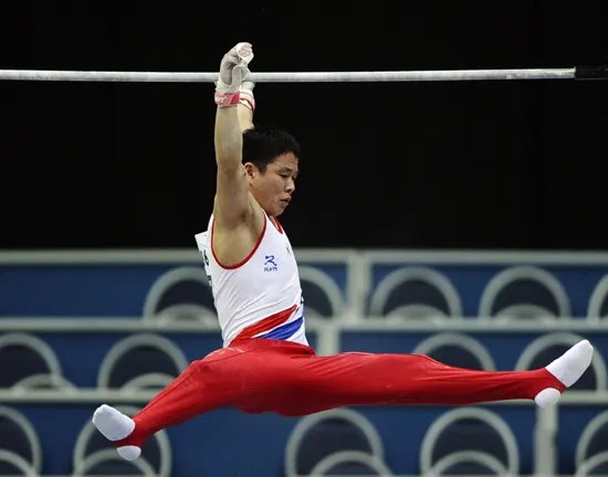 2010年世界体操锦标赛在哪儿举办