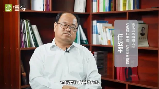 怎么训练狗狗大小便