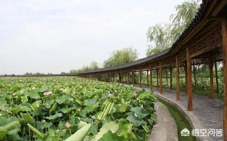 湖北农村的“彭墩模式”具体是指什么？