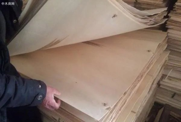 杨木木皮价格谁知道啊 进来看下！！