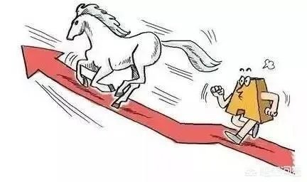 贵州茅台为何如此疯长？