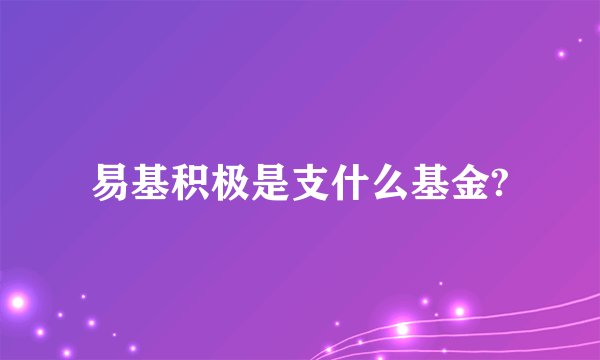 易基积极是支什么基金?