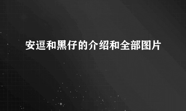 安逗和黑仔的介绍和全部图片