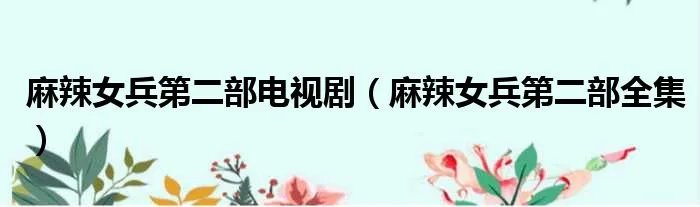 麻辣女兵第二部电视剧（麻辣女兵第二部全集）