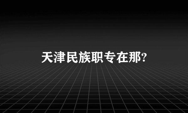 天津民族职专在那?
