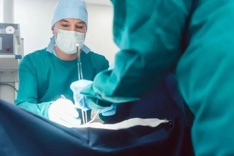 赠卵试管-供卵试管婴儿是什么意思？