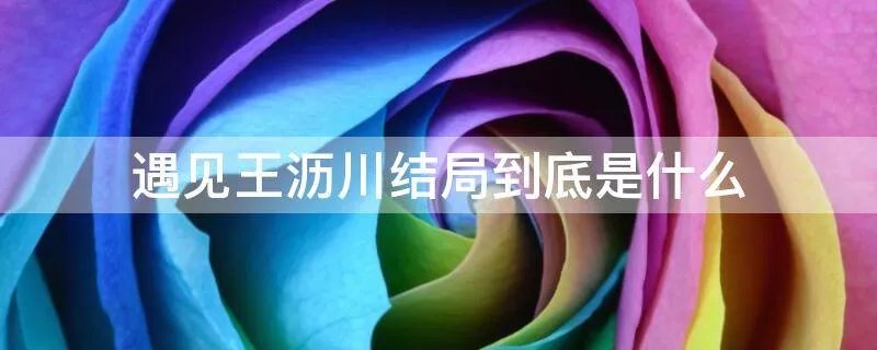 遇见王沥川结局到底是什么