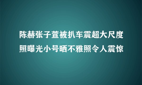 陈赫张子萱被扒车震超大尺度照曝光小号晒不雅照令人震惊