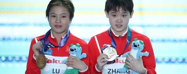 张家齐个人资料简介