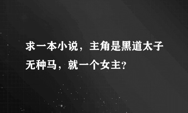 求一本小说，主角是黑道太子无种马，就一个女主？