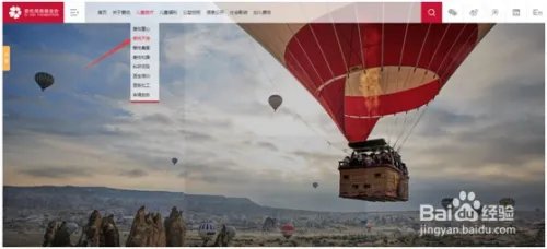 爱佑慈善基金会白血病救助项目流程