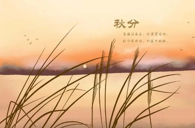 24节气之秋分简笔画 秋分主题简笔画图片大全