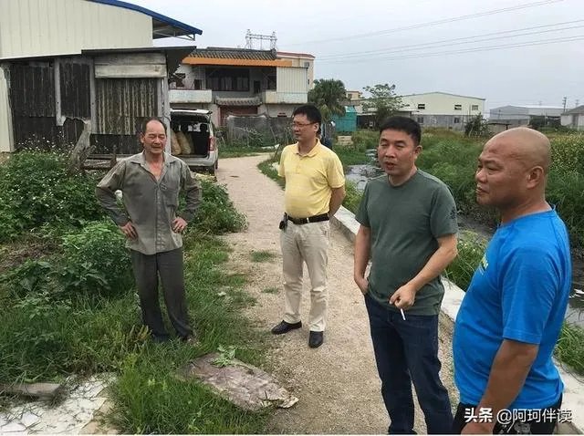 鱼跳上岸是什么征兆