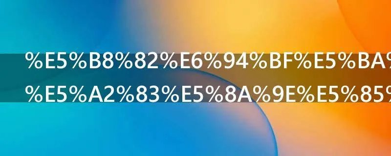 市政府软环境办公室主要管些什么