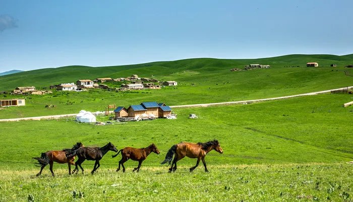 卖切糕是什么梗