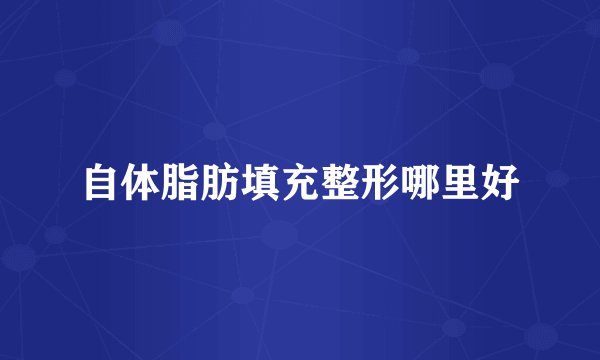 自体脂肪填充整形哪里好