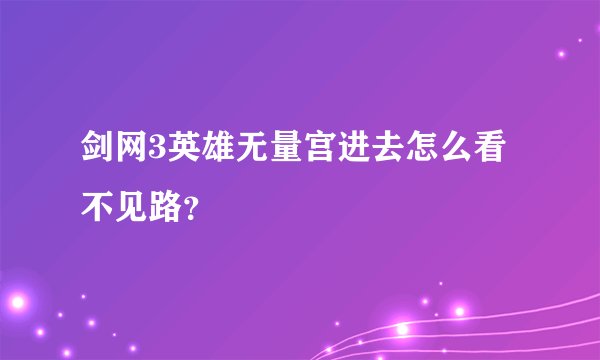 剑网3英雄无量宫进去怎么看不见路？