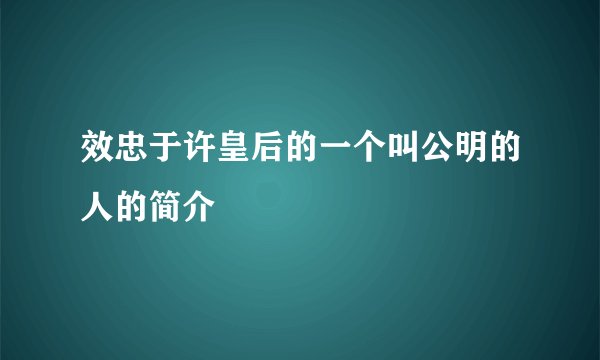 效忠于许皇后的一个叫公明的人的简介