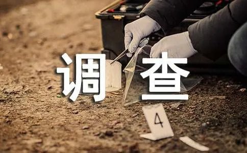 小学生调查报告