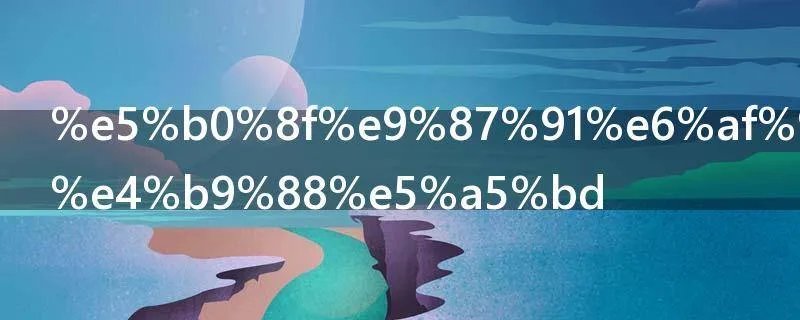 小金毛吃什么好