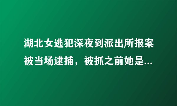 湖北女逃犯深夜到派出所报案被当场逮捕，被抓之前她是如何隐藏身份的？