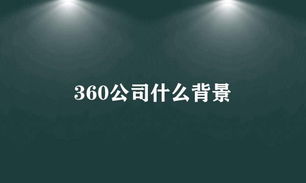 360公司什么背景