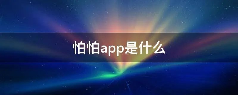 怕怕app是什么