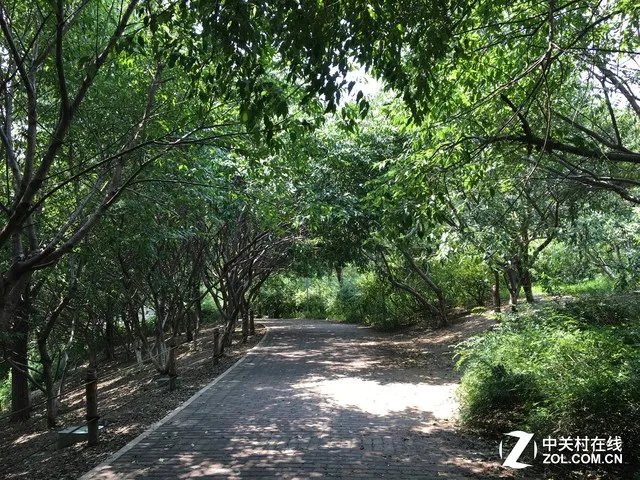 一加3/小米5/iPhone 6sP拍照盲测大比拼