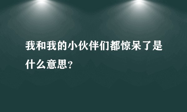 我和我的小伙伴们都惊呆了是什么意思？