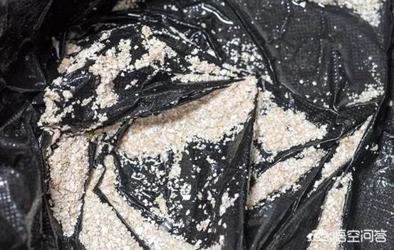 有哪些大型垃圾处理方式