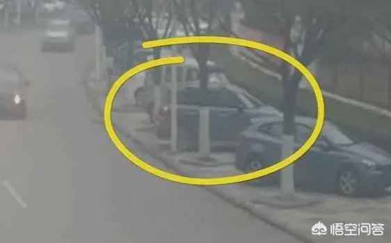 安徽一女司机6次倒车不成，将油门当刹车撞上大树，你怎么看这位女司机？