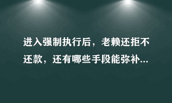 进入强制执行后，老赖还拒不还款，还有哪些手段能弥补自己的损失？