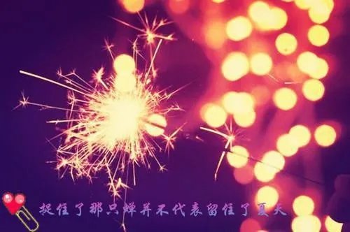 强迫臣服(西无最)霍莽蓝晚完本小说全文在线阅读