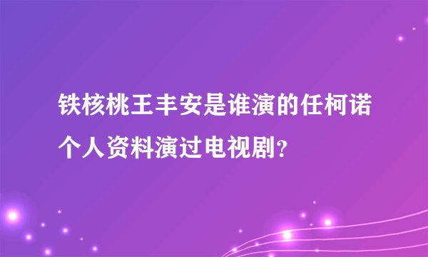 铁核桃王丰安是谁演的任柯诺个人资料演过电视剧？