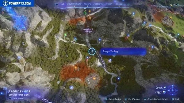 《阿凡达潘多拉边境》塔休幼苗位置汇总 塔休幼苗收集攻略