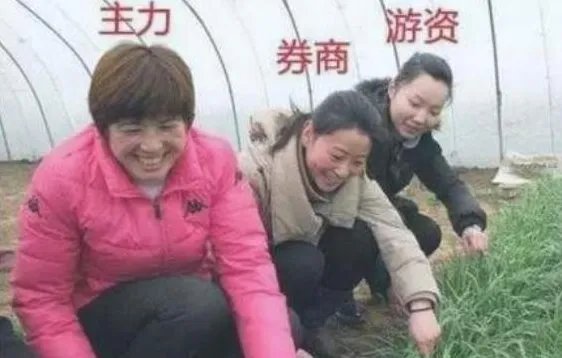 A股重要股东套现3000亿，股东们为何不相信牛市？