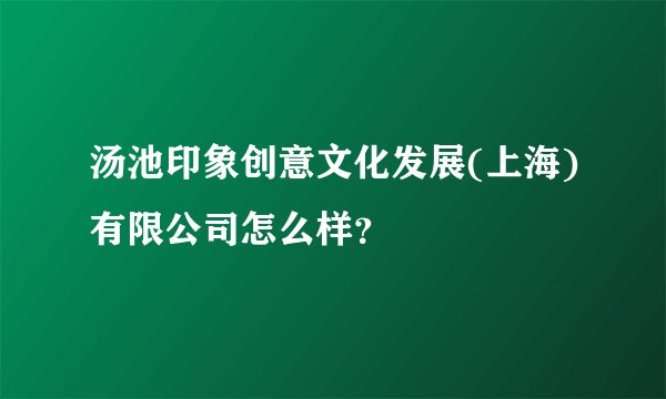 汤池印象创意文化发展(上海)有限公司怎么样？