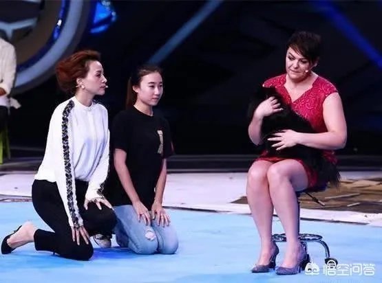 央视一姐董卿当众下跪，到底怎么了？