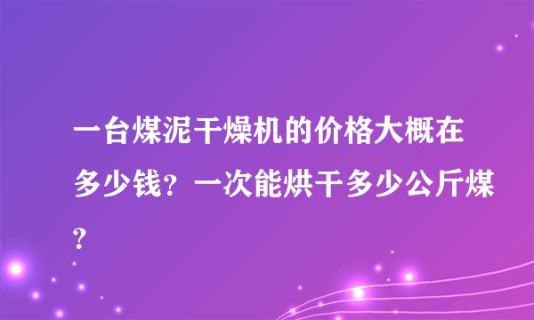 一台煤泥干燥机的价格大概在多少钱？一次能烘干多少公斤煤？
