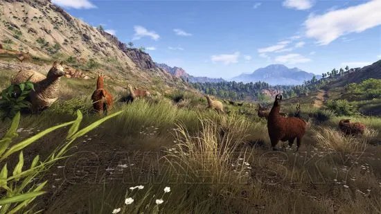 《幽灵行动荒野》全生物图鉴与介绍 生物大全