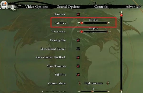 Text language点不开