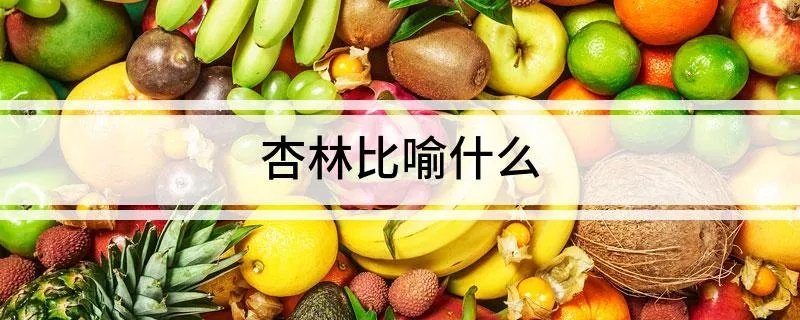 杏林比喻什么