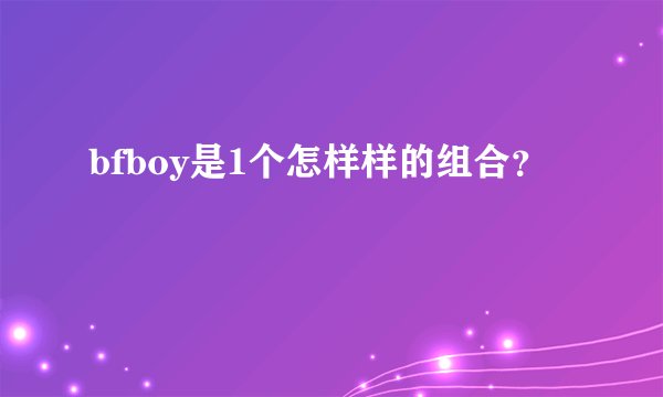 bfboy是1个怎样样的组合？